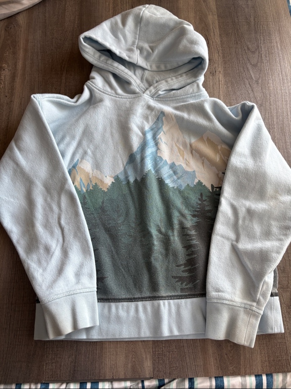 GAP Light Blue Mountain Graphic Hooded Sweatshirt